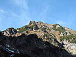Der Stripsenkopf