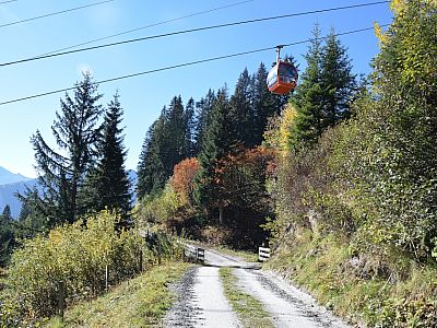 Nur manchmal dürfen wir auf dem Forstweg kurz verschnaufen, ...