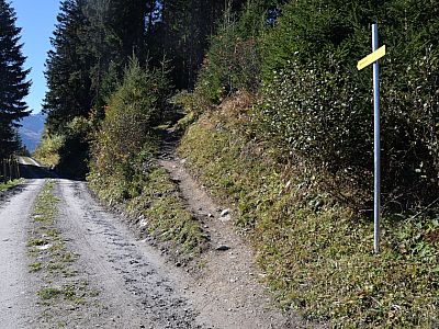 ... bevor wir wieder auf den Steig wechseln