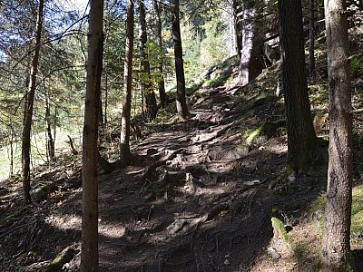 Schon bald wird der Steig kompromisslos steil