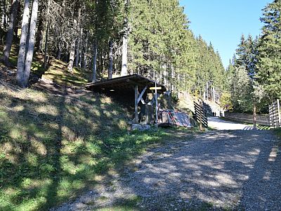 Kurz marschieren wir auf dem Fahrweg nach rechts und biegen anschließend links auf den Pfad ab