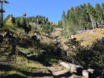 Meist führt der steile Pfad direkt unter der Seilbahn in die Höhe