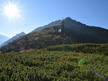 Der Ausblick zurück zum Zitterauer Tisch