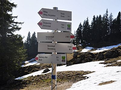 Weiter zum Steineberg