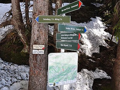 Zum Stuiben geht es gradeaus...