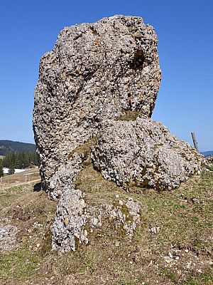 Typischer Nagelfluh Felsen