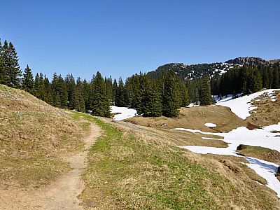 Abstieg ins Steigbachtal