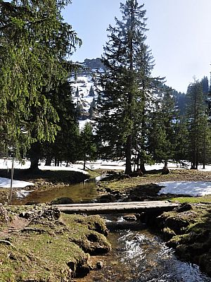Über die Brücke, ...