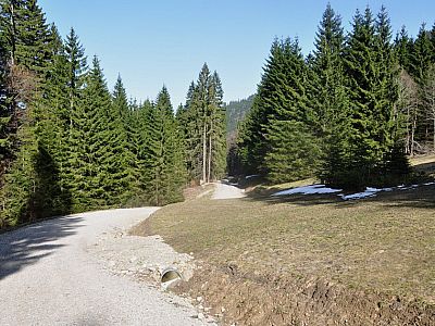 Forststraße und zurück nach Immenstadt.