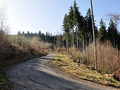 Über den Fahrweg zur...