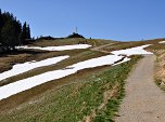 Der Gipfel des Bärenkopf ( 1476 m)
