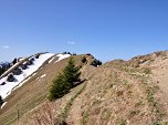 Weiter zum eigentlichen Gipfel des Steineberg