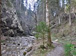 Am Steigbach entlang
