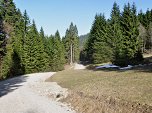 Forststraße und zurück nach Immenstadt.