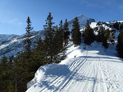 Wir marschieren direkt auf die mächtige Alpspitze zu