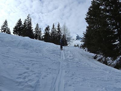 Durch eine Schneise steigen wir...