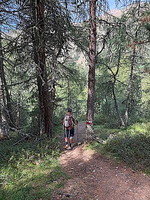 Nach dem Waldstück...