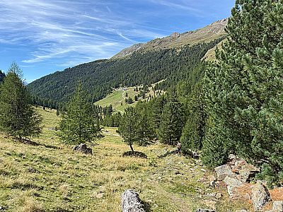 ...erreichen wir die Wiesen oberhalb der Inneren Matscher Alm