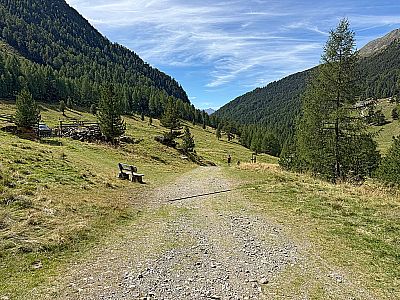 Schließlich stoßen wir wieder auf den Fahrweg