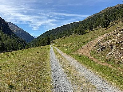 ...und verlassen den Fahrweg nach der Brücke in Richtung Matscher Alm