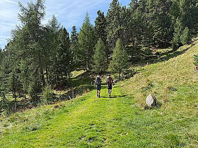 Für den Rückweg von der Alm wählen wir den Vinschger Höhenweg