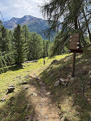 Beim folgenden Schilderbaum gehen wir geradeaus weiter