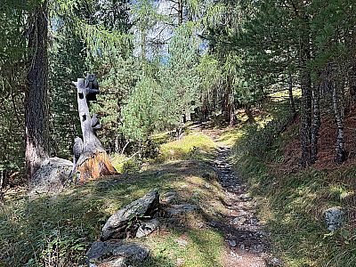 Der Vinschger Höhenweg...