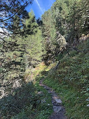 ...leitet uns durch lichten Wald nordostwärts