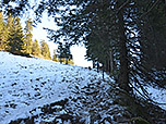 Wir verlassen den Wald...