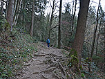 ...und wandern über einen kleinen Pfad hinauf...