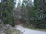 ...zu einem Querweg