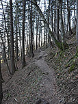 ...und erreichen über einen Waldpfad wiederum den Aufstiegsweg