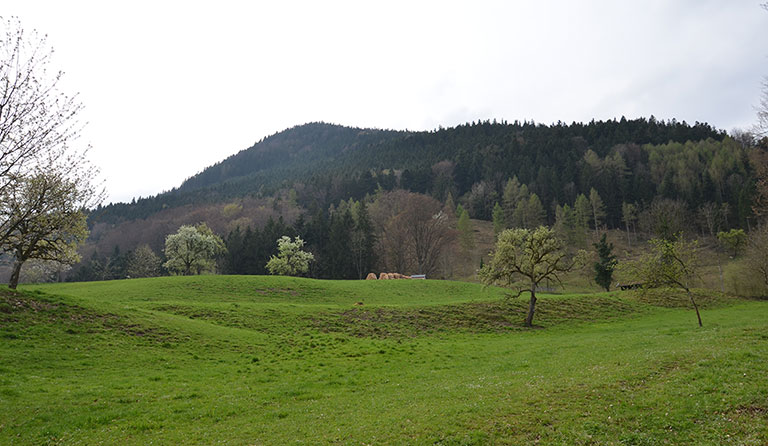 Sulzberg (1117 m)