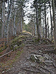 ...Nordwestgrat hinauf