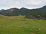Blick zur Schlipfgrubalm