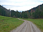 ...und über Lichtungen wandern wir weiter...