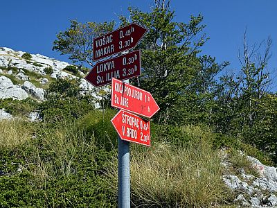 Wir kreuzen einen Weg und marschieren weiter direkt auf den Gipfel zu.