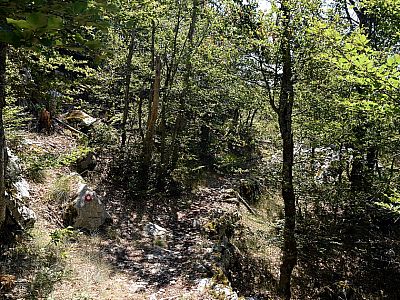 Bequem queren wir in einem Spiel aus Licht und Schatten ...