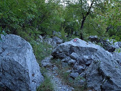 Der weiße Punkt mit roter Umrandung zeigt uns den Weg