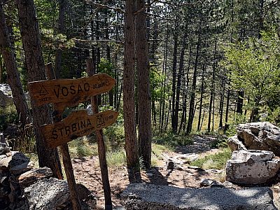 ... erreicht man in 20 Minuten den Gipfel des Vosac. den wir uns heute allerdings sparen. 