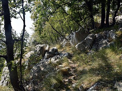 Wir queren die steilen Hänge auf einem breiten Band hoch über Makarska