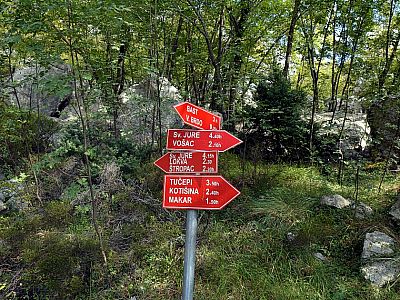 Hier treffen wir wieder auf den Aufstiegsweg, dem wir nach Veliko Brdo folgen.