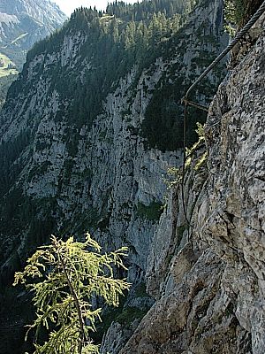 ... ein paar Meter zu klettern.