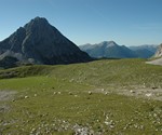 Schafherde