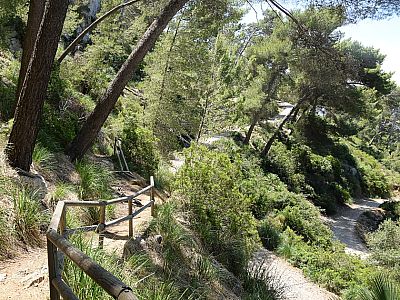 Am Hauptweg halten wir uns nun links und ...