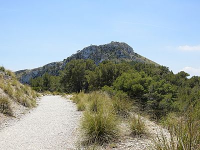 Wir wandern direkt auf den Talaia D'Alcudia zu