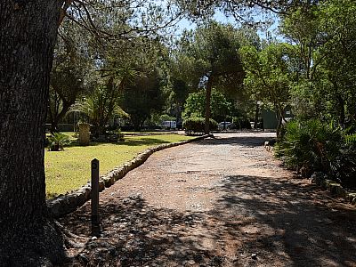 ... erreichen einen Campingplatz