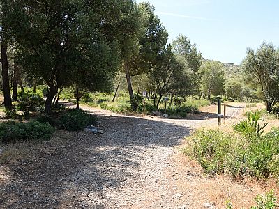 Hier halten wir uns links Richtung Ermita de la Victòria