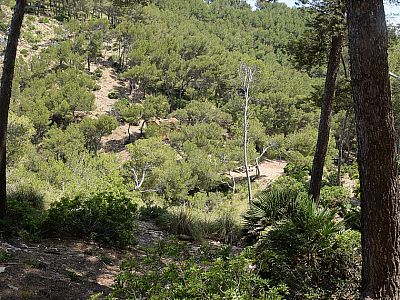 Steil führt der Pfad zu einem Sattel