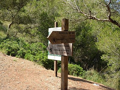 Wieder am Sattel halten wir uns an den Wegweiser Richtung 